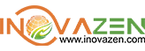 inovazencom (2)